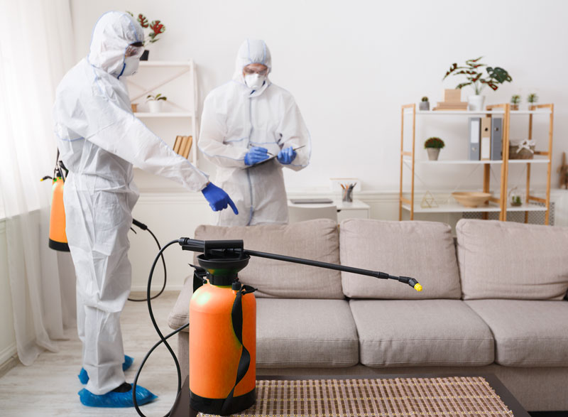 What To Expect From A Good Pest Firm